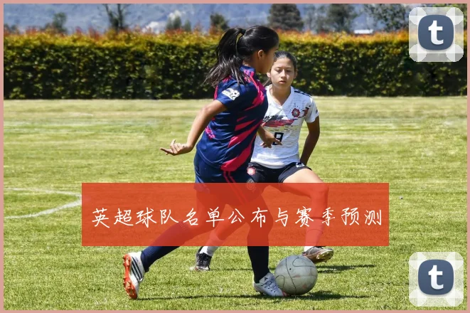 英超球队名单公布与赛季预测